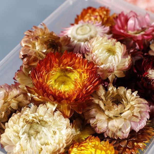 

1 box of colorful multi-style dried flower plant scented candle epoxy resin pendant necklace diy jewelry makin qyldoh