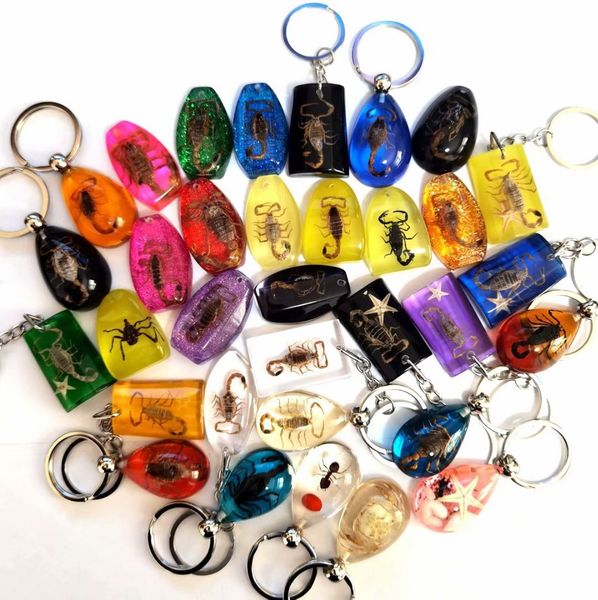 

35 pcs fashion real scorpion bee star fish mixed style keychain, Slivery;golden