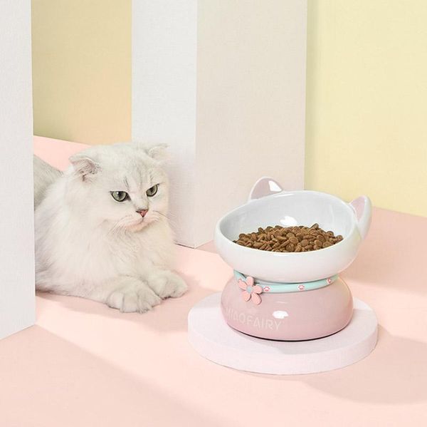 

cat bowls & feeders ceramic pet bowl raised stand dog water easy to clean