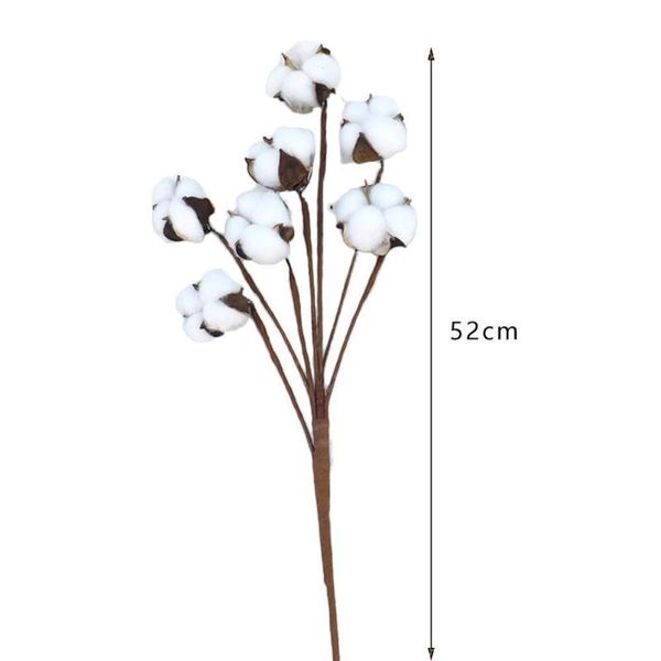 

decorative flowers & wreaths white 7 head cotton home decoration kapok dried flower bouquet pampas grass natural arrangement drop