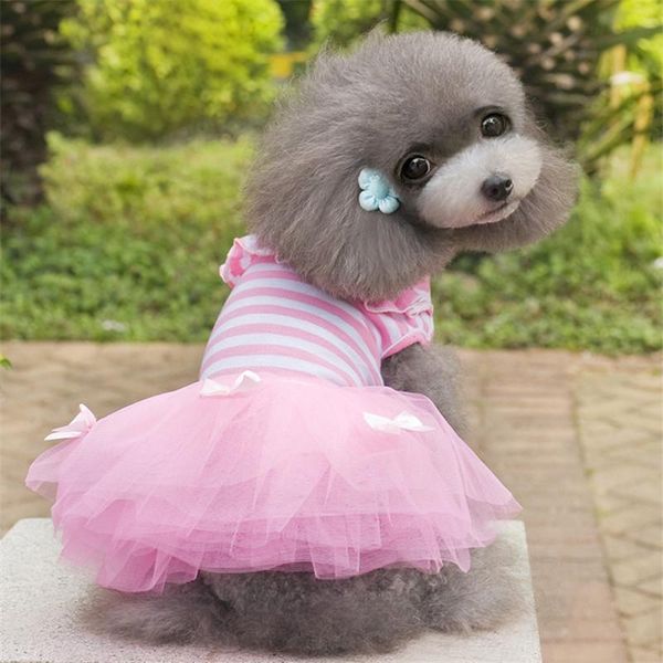 

dog apparel summer lace tullle dress pet clothes for small party birthday wedding bowknot puppy costume spring