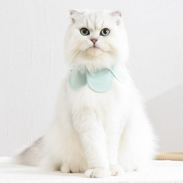 

cat costumes cute pet dog bib collar saliva towel for puppy kitten flower shaped neckerchief bibs scarf accessories