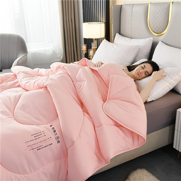 

comforters & sets autumn winter thicken warm quilt blanket double king queen bed cover bedding soft quilted printed comforter home el duvets