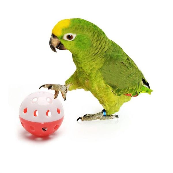 

other bird supplies cute pet parrot toys hollow ball with bell for parakeet cockatiel chewing sound toy accessories random color