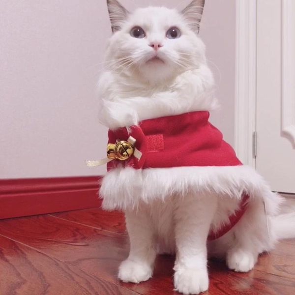 

pet kitten clothing set warm christmas hat shawl small cat cloak santa claus costume pet christmas dress-up clothes