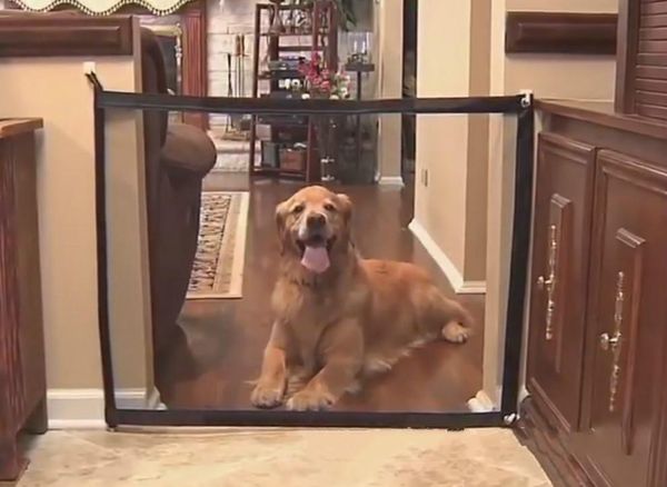 

dog houses & kennels accessories isolation net pet home door fence barrier safety protection indoor