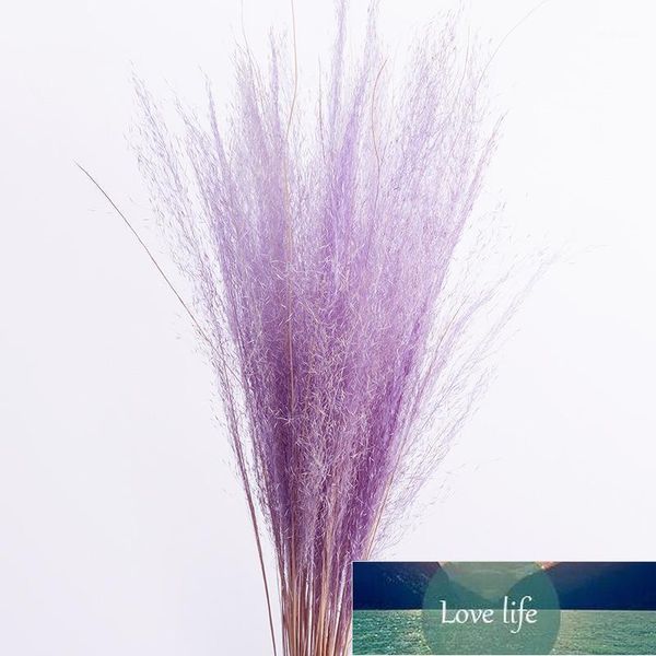 Fiori decorativi Ghirlande Ramo di erba Muhly essiccato naturale, Fiore secco conservato per la decorazione del Ramadan Decorazioni floreali per la casa, Bomboniera regalo, 100 Esperto di prezzi di fabbrica