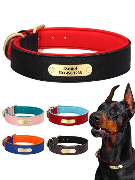 

pet husky large golden collar legal fight dog tag identity card