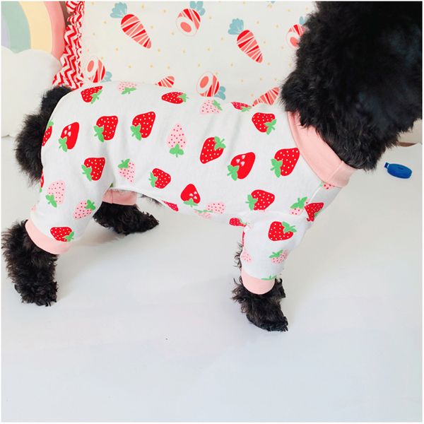 

pet dog cloth four legged cotton cat cute big strawberry lemon long term