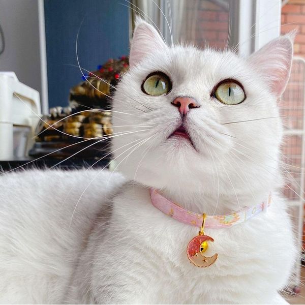 

cat collars & leads fashionable dream moon star bells adjustable dog safety buckle collar pet accessories