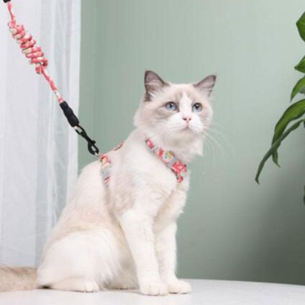 

dog collars & leashes lovely cat collar harness leash traction rope chest strap pet safe gentle leader adjustable floral belt