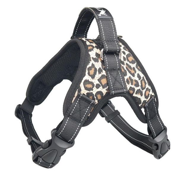 

dog collars & leashes large name harness small medium big personalized for dogs