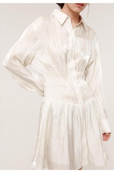 

casual dresses 2021 early autumn women short shirt ladies stretch pleated slim waist long sleeve single-breasted, Black;gray