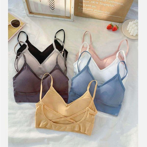 

yoga outfit solid color fitness sport breathable running gym crop women's sports bra beauty back bras