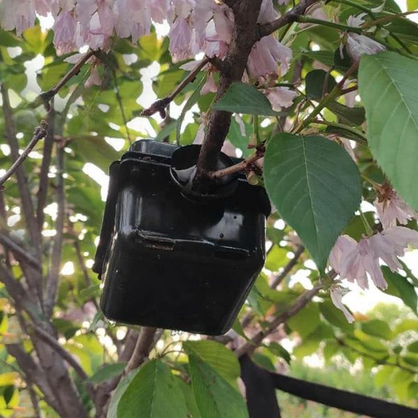 

planters & pots plant rooting ball breeding seeding case container grafting growing box household garden planting elements