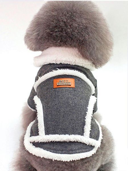 

cat costumes costume hoodie sweater pet windproof fashion dog down parkas gatos roupas supplies jj60mj