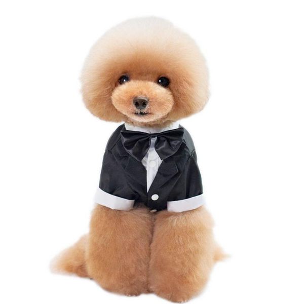 

dog apparel pet clothes clothing wedding suit dress gentleman teddy bear