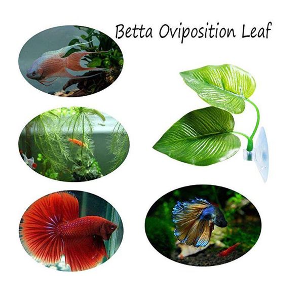 

decorative flowers & wreaths artificial plant leaf betta hammock fish rest bed tropical aquarium decor flower grass ornament for 2021