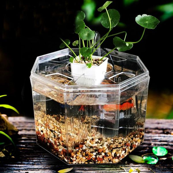 

aquariums small betta fish tank acrylic isolation box mini aquarium gold breeding with without pump filter