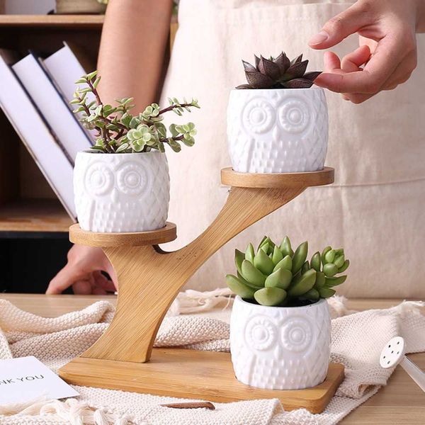 Ootdty niedliche Owl -Topf Sukkulente Kaktus -Pflanzer Blumenpot -Set mit 3 Schichten Blume Pergola Bambusschelfblatt Kit Dekor 210615