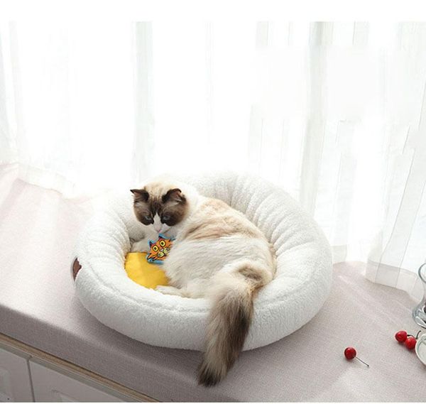 

dog bed omelette egg mat yolk warm cat litter comfortable kennel teddy durable poached eggs puppy nest cute chihuahua pet bed
