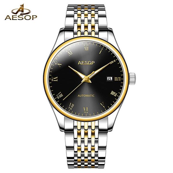 

wristwatches aesop automatic mechanical men watch waterproof male sapphire glass sports wrist watches clock relogio masculino, Slivery;brown