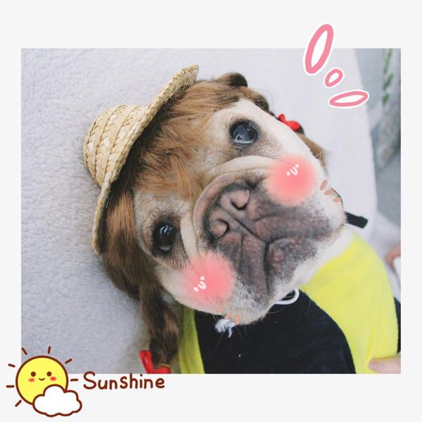 

dog apparel [mpk store] hat, pet summer straw cute looking hat for cats and dogs
