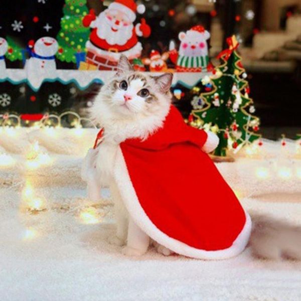 

cat costumes pet costume no deformation clothes eco-friendly cosplay beautiful kitten cape