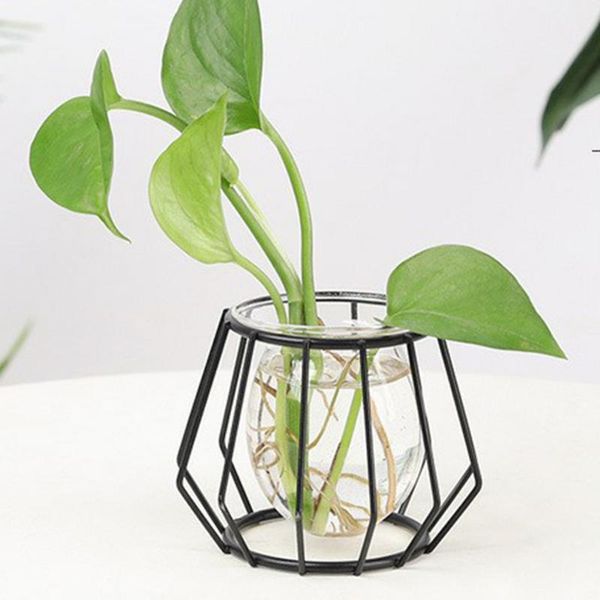 

vases nordic creative vase home decor golden glass hydroponic plant holder iron line flowers ornament garden decoration