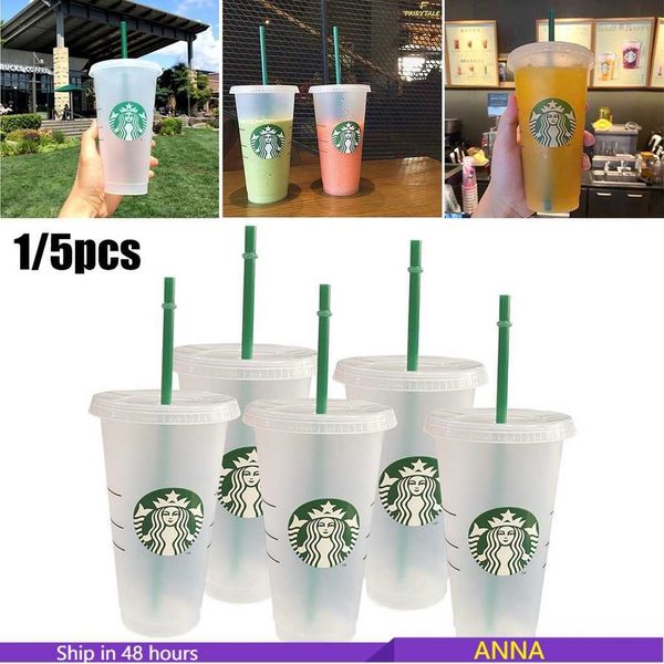 

starbucks plastic straw cup with lid transparent water cup green straw