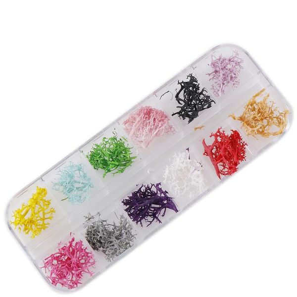 

12 colors/box coral real dried flower dry plants for epoxy resin pendant necklace jewelry making craft diy nail acc qylirr