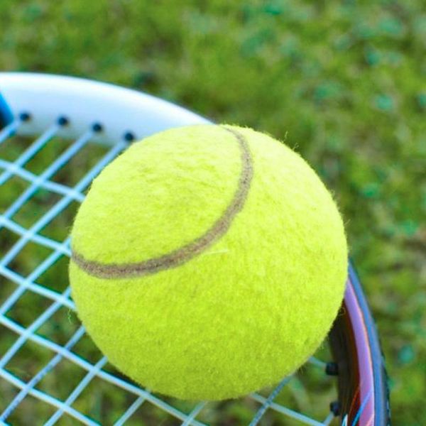 

yellow tennis balls sports tournament outdoor fun cricket beach dog ing