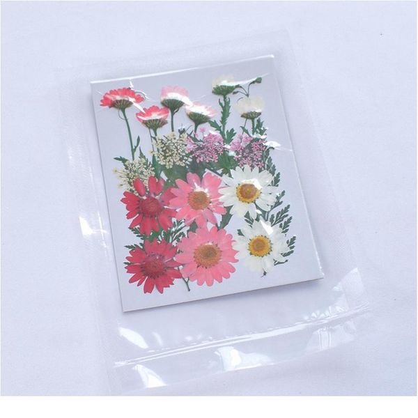

small real dried flower dry plants for candle epoxy resin pendant necklace jewelry making craft diy a qylmhj