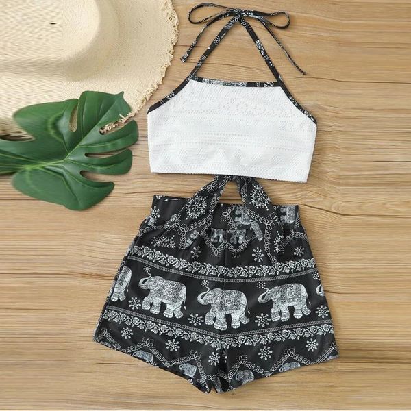 

women's two piece print split swimsuit bikini swimsuit beachwear vacation holiday seaside summer women 2021