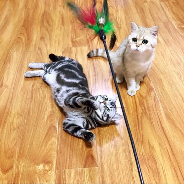 

cat toys 1/4pcs teasing stick feather bells tease interactive scratching for kitten