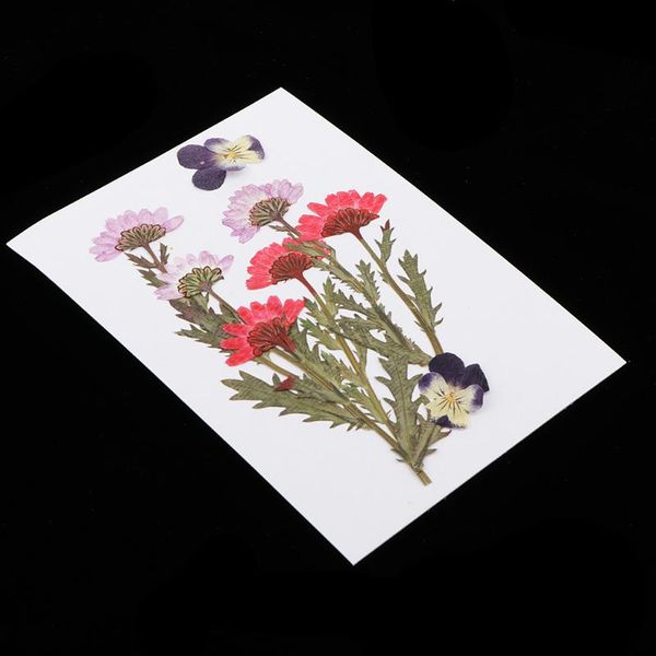 

25-packs natural dried flowers real press dry flower petals pressed leaves for