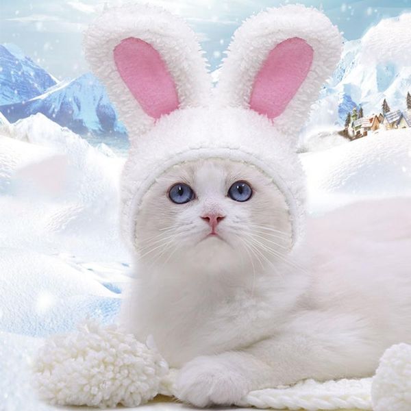 

cat costumes accessories pet cap dog winter warm headgear funny hat soft lovely style cross-dressing kitten dicer supplies