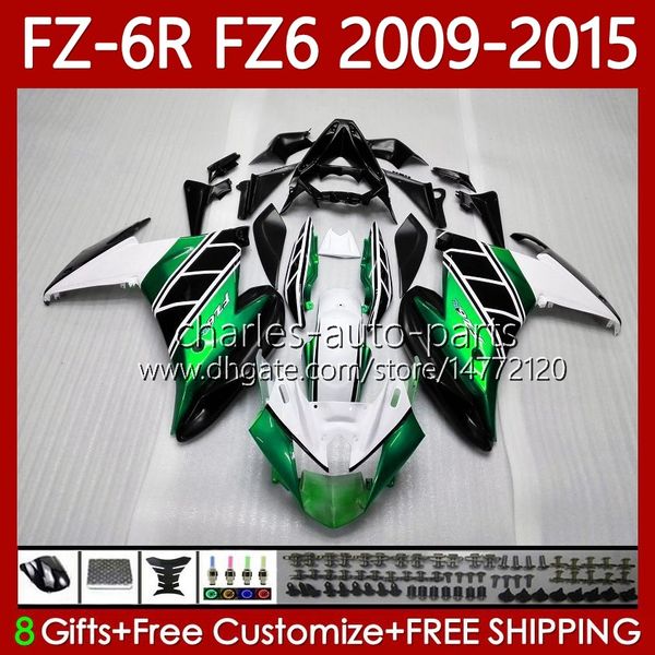 OEM-Karosserie für Yamaha FZ600 FZ 6R 6N 6 FZ6 R N 600 2009–2015 Karosserie 103No.203 FZ6R FZ6N FZ-6R Weiß Schwarzgrün 09 10 11 12 13 14 15 FZ-6N 2009 2010 2011 2012 2013 2014 2015 Verkleidung