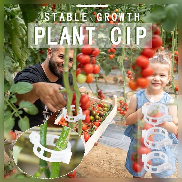 

other garden supplies 100pcs plastic plant clamps vine fixing grafting clip trellis tomato clips supports connects plants vines
