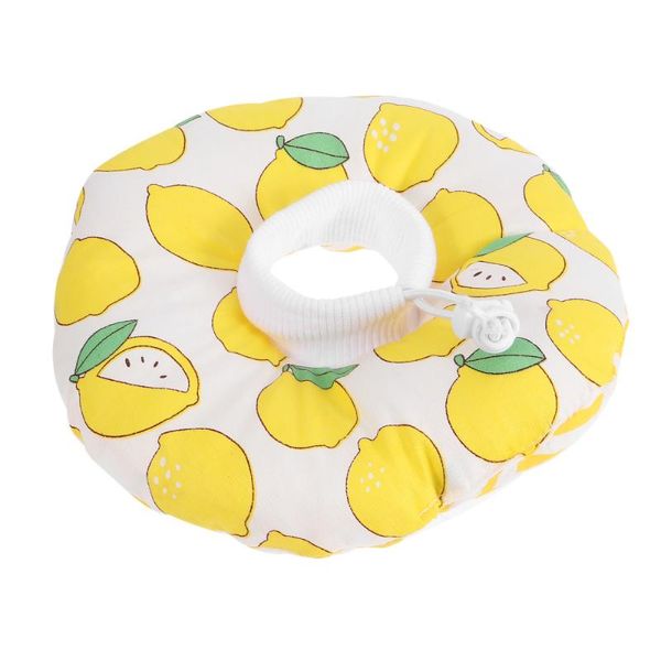 

cat collars & leads cartoon fruit pattern after collar recovery anti-scratch cone