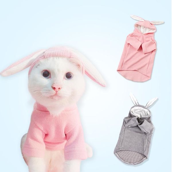 

cat costumes pet dog ear sweater bichon teddy fighting clothes autumn winter spring summer