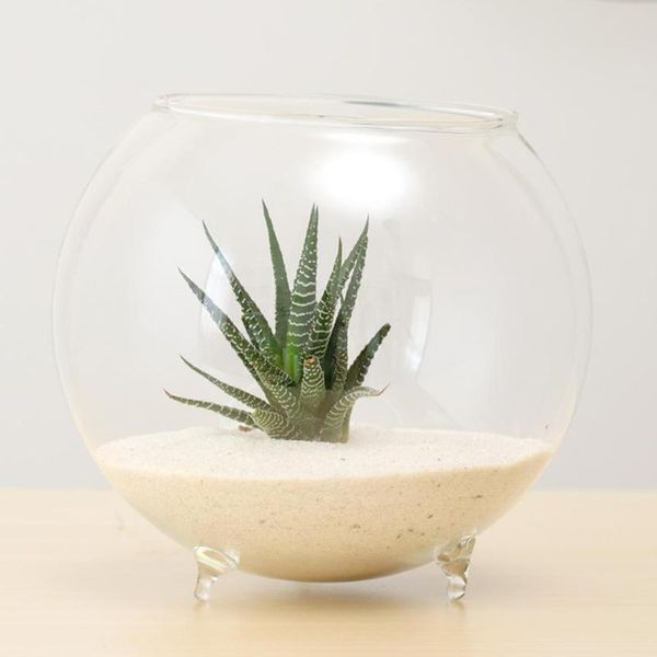 

clear ball glass vase bottle terrarium containers diy table flowers vase transparent wedding garden decor