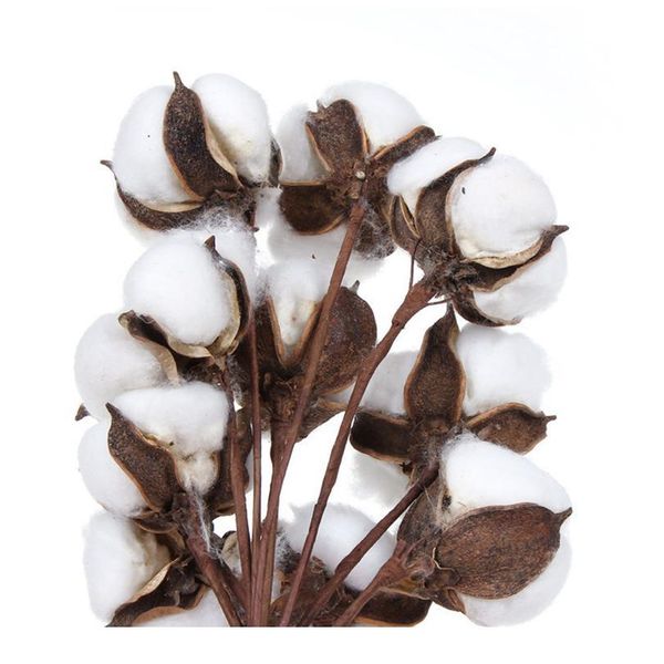 

pipifren cotton flower head artificial natural dried home christmas decor diy garland wreath flower material fleur qylgpe