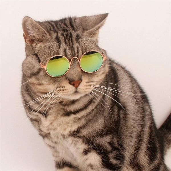 

cat costumes cute and handsome dog glasses sunglasses pet creative trend toy assessoires