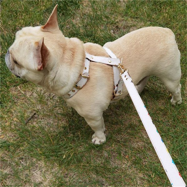 Manta Clássico Floral Cachorro Collar Double Loop Filhote De Cachorro Arnês Leashes Couro Elegante Proteção Ajustável Pet Supplies