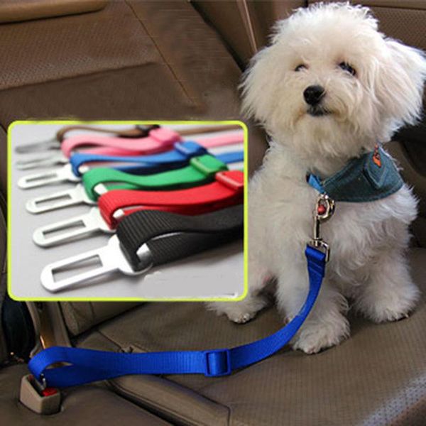 

dog collars & leashes pet solid color collar adjustable neck with belt buckle and leash