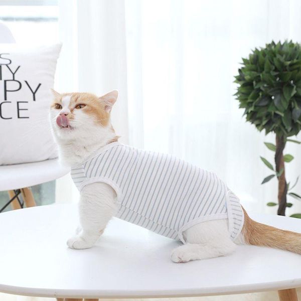 

cat recovery suit sterilization care pet kitten prevent lick after wear summer vest
