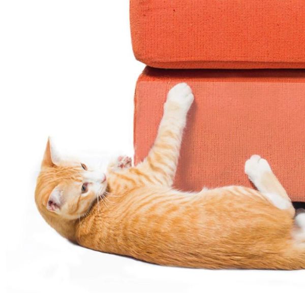 

cat beds & furniture scratch deterrent couch guard defender protector scratching training aids transparent repellent