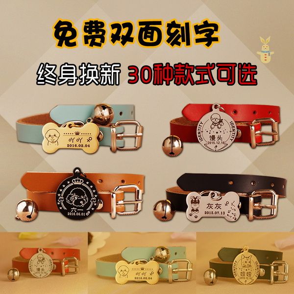 

anti lost teddy pet collar lettering id tag small medium sized cat and dog jewelry wear resistant