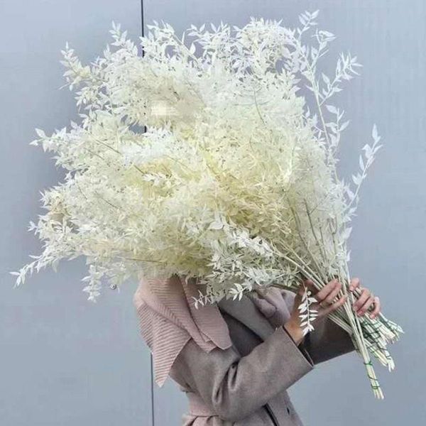 

decorative flowers & wreaths dried preserved ruscus leaves bouquet lucky bamboo diy floral decoration for home wedding n5n4